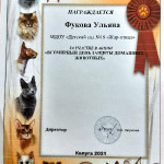 достижения