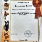 достижения