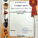 достижения