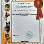 достижения