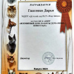 достижения