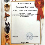 достижения