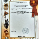 достижения