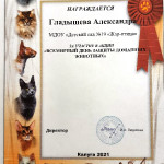 достижения