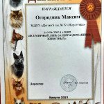 достижения