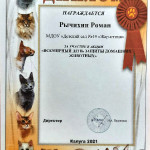 достижения