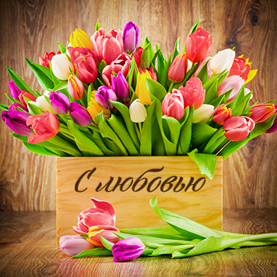 Поздравляем!