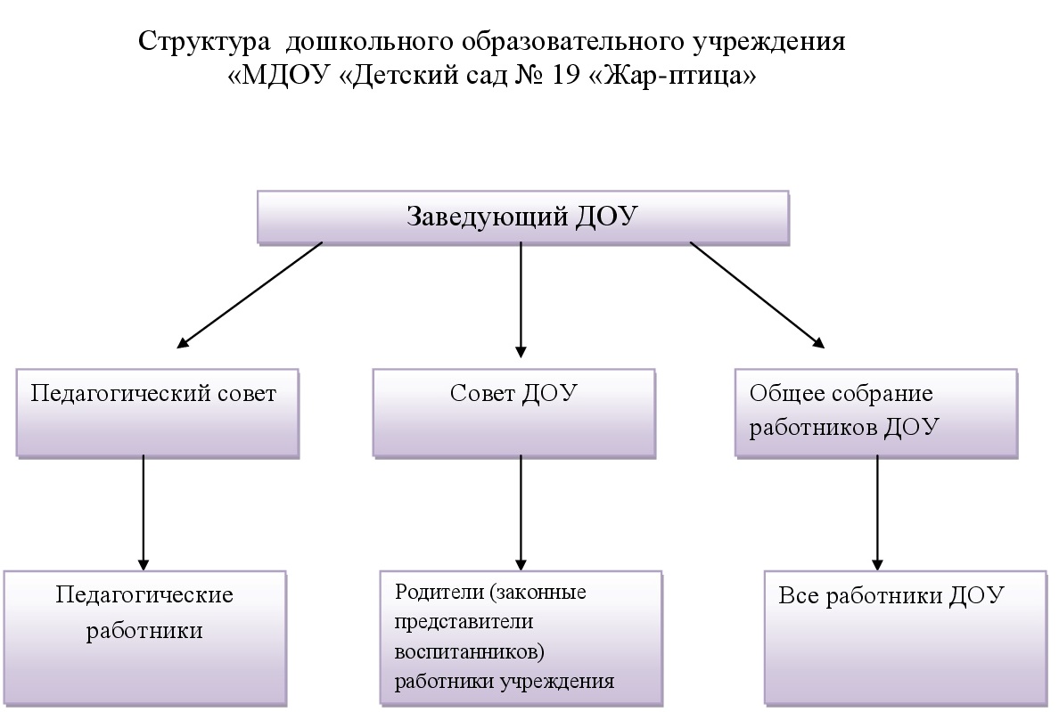 Структура и органы управления образовательной организацией